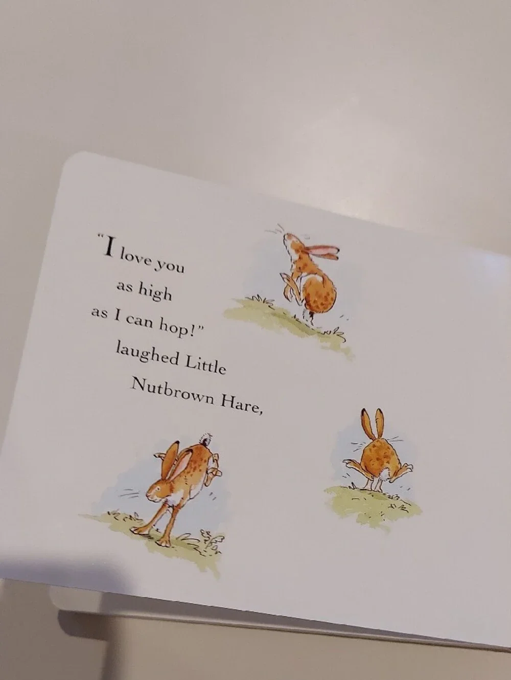 Guess How Much I Love You Board Book